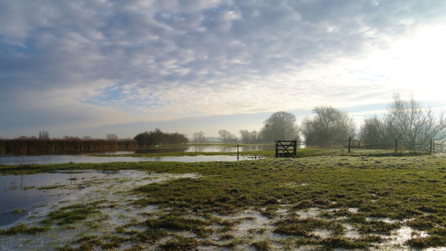 Oko 6.000 hektara zemljišta poplavljeno