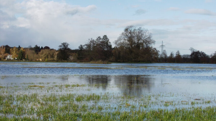 Šteta od poplava u Trsteniku 172 miliona dinara