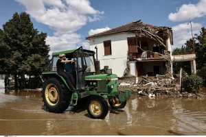 Plodna grčka ravnica je pod muljem, zbog životinjskih lešina prijeti zaraza