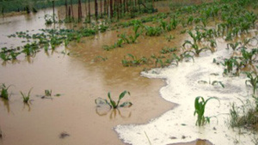 Čobanković: Nemojte napuhavati štete