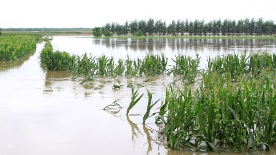 Suše i poplave zbog El Ninja u J. Americi