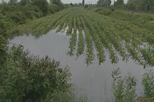 Zbog poplave uvoziti ćemo sirovine