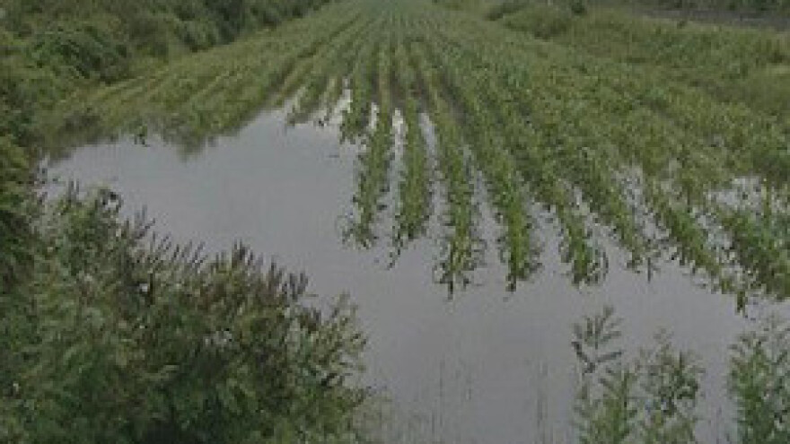 Zbog poplave uvoziti ćemo sirovine
