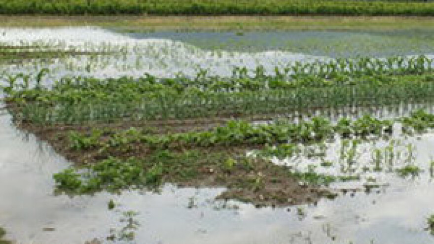 Stočari neće imati čime prehraniti stoku