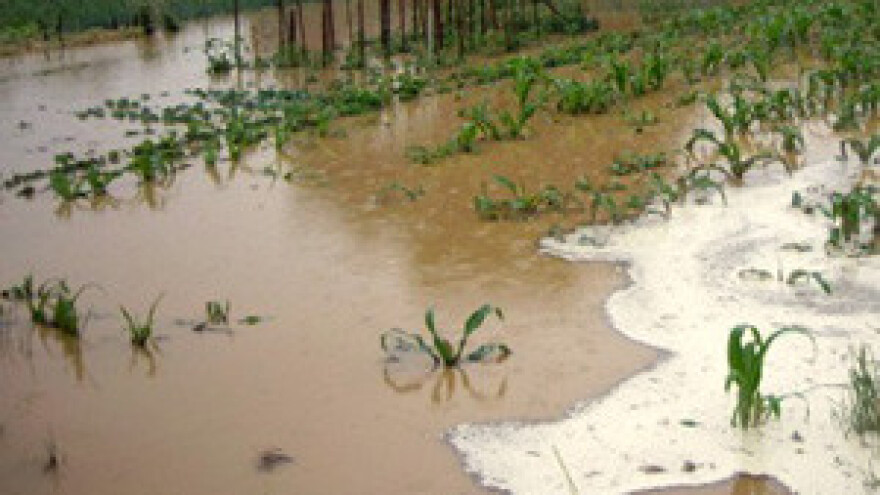 Nesagledive štete od poplava