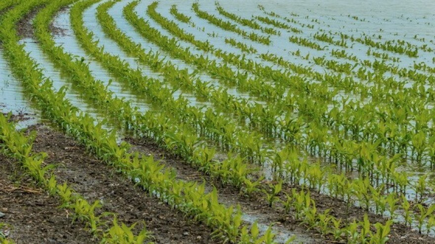 HPK: Poticaje hitno isplatiti, a štetu nadoknaditi!