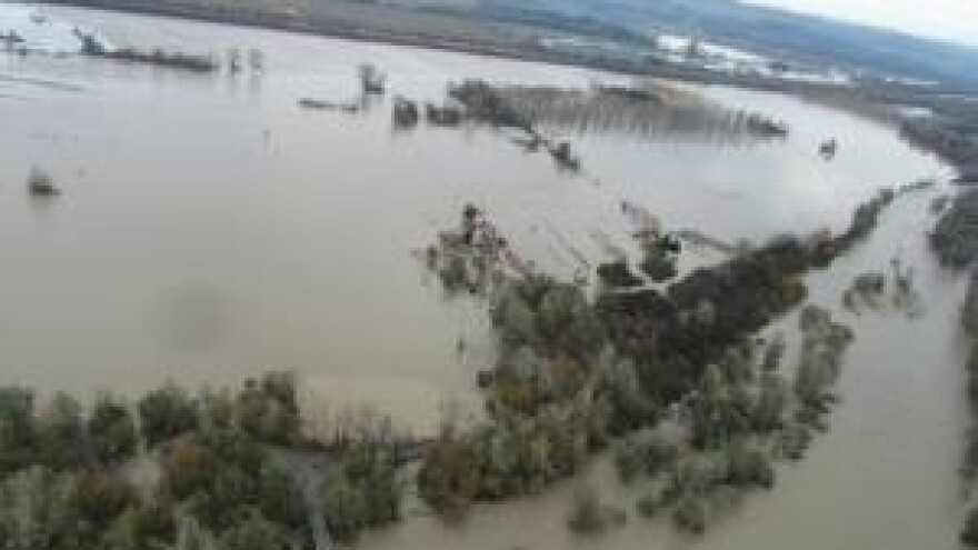 Poplavljena polja - ironija sušne godine