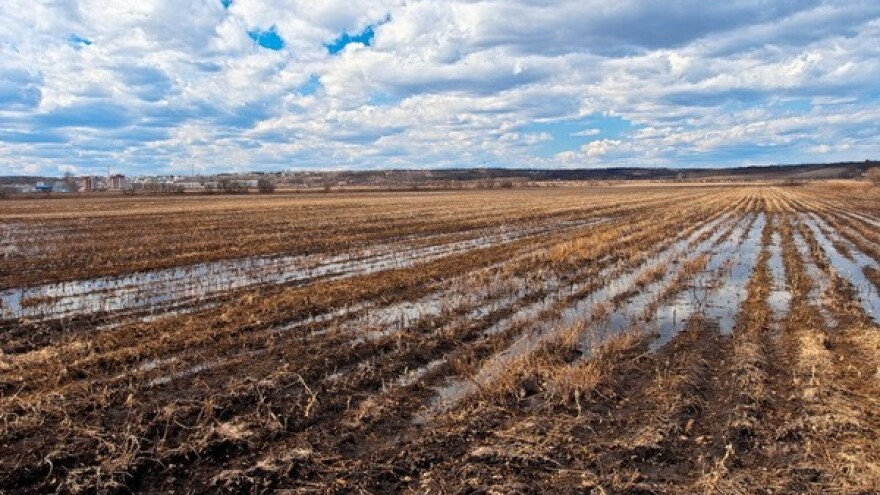 Analize će ispitati pogodnost tla za kultiviranje