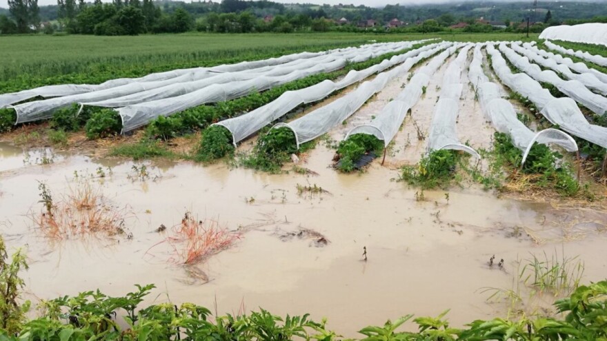 Vanredna situacija u selima Priboja, poplavljeno jedno kod Leskovca