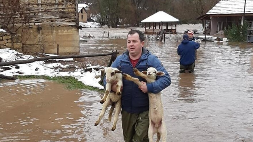 Životinje u vrijeme poplava prolaze kroz isti stres kao i ljudi