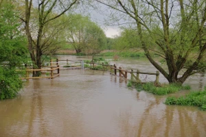Srbija partner EU protiv klimatskih promena