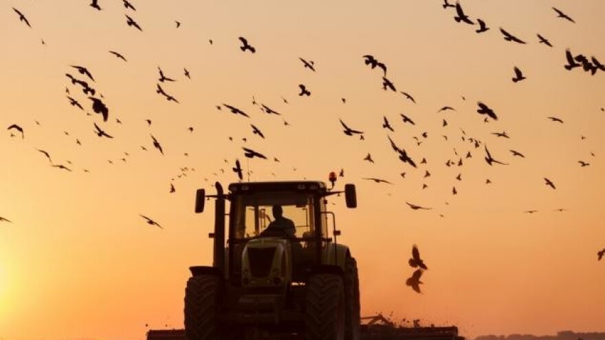 Bespovratna sredstva poplavljenima u BiH