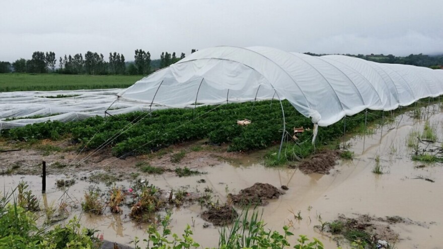 RZS: U 2020. godini 75 odsto poplavljenog zemljišta - poljoprivredno