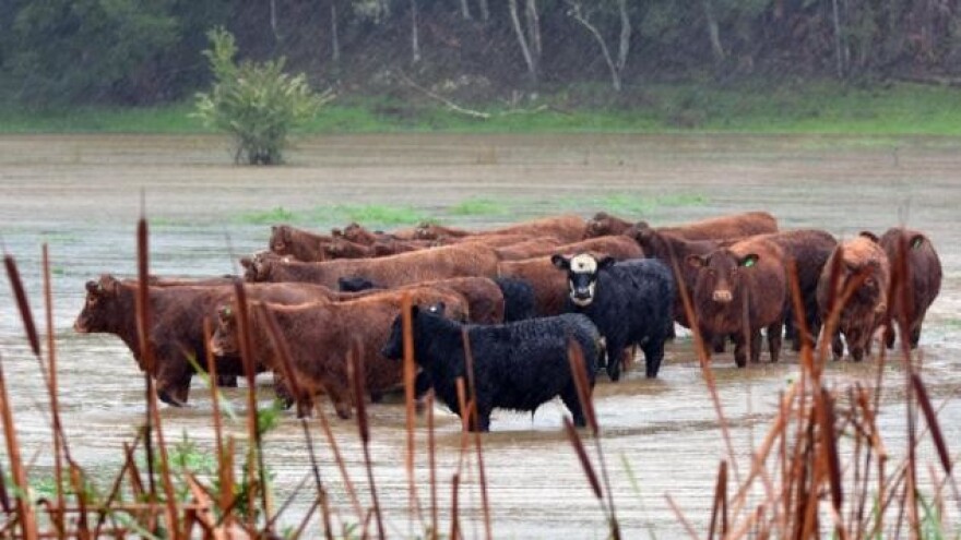 Poplavljena makedonska sela i oranice!