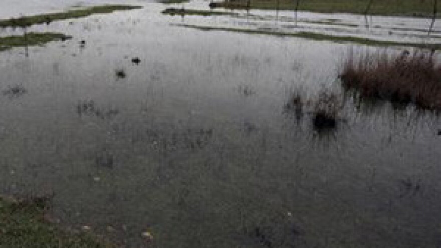 Uništen urod u poplavljenim poljima