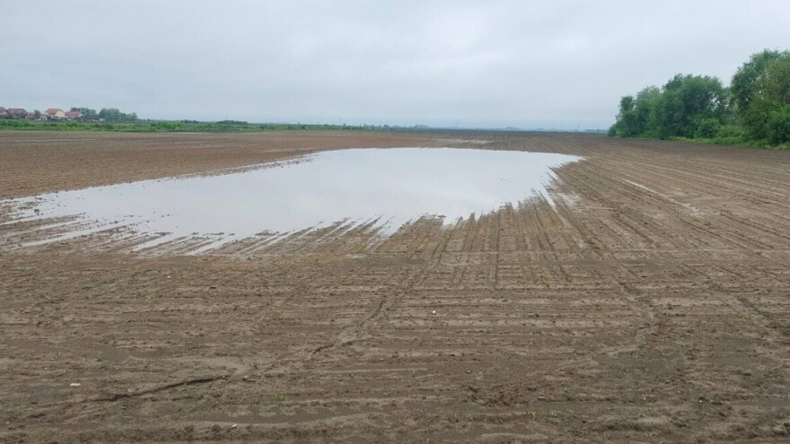 Ovih dana teško u njivu: Pljuskovi, promenljivo i nestabilno vreme