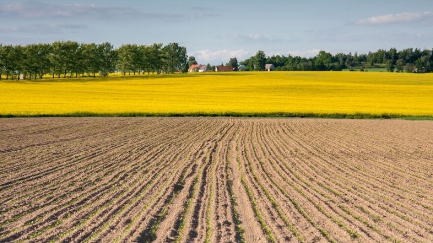 Tla zauvijek izgubljena za poljoprivredu?