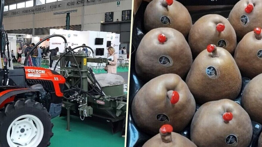 Agroklub u Riminiju: Svijet daleko ispred nas - ventilatori za zlatice, voće za bogataše