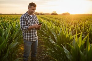 Popularna i tražena u regionu, a i šire!