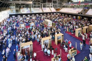 Vinistra potvrdila: Istra živi vino kao stil života