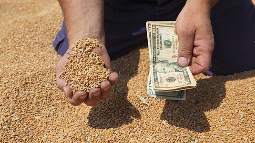 Privremeni porez na izvoz žitarica?