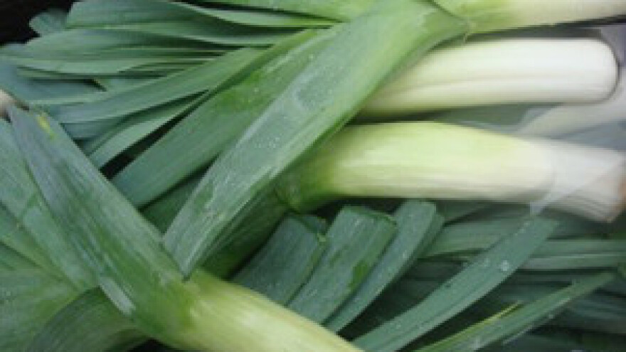 Zaštita poriluka od štetnih organizama