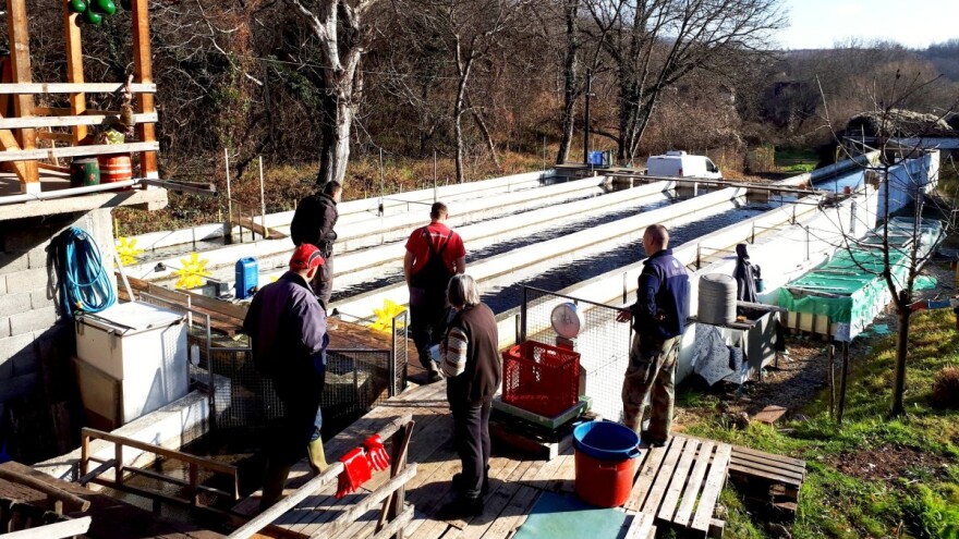 O ribnjaku u Gadžinom Hanu brine 15 članova porodice