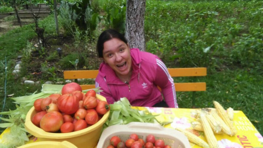 Uz voće i ljekovito bilje gaje i batat i bamiju