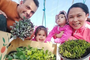 Na vlastiti uzgoj se odlučili jer ne žele zavisti od prodajnih centara i da sačuvaju stare sorte