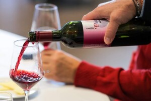 Na tržište stiglo prvo mlado vino jeseni - Portugizac Selection