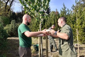 Hrvatska opet pošumljava, kroz projekt Plant my tree posadit će 10.000 sadnica stabala