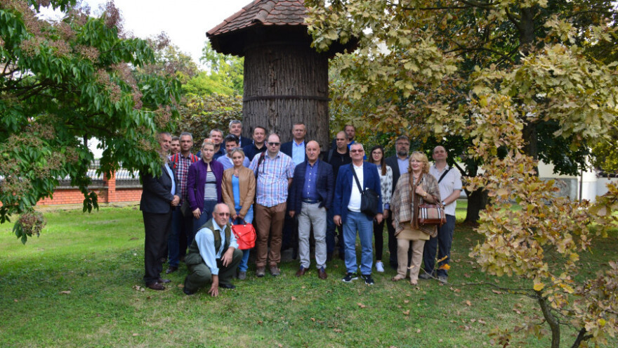 Hoće li slavonski hrast lužnjak osvojiti Poljake?