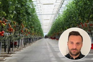 Zašto je prodaja zapravo dobra stvar za Belje, Vupik i PIK Vinkovce?