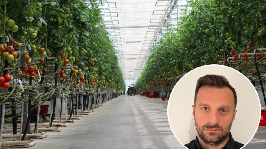 Zašto je prodaja zapravo dobra stvar za Belje, Vupik i PIK Vinkovce?