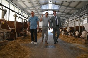 Višemilionska investicija: Otvorena savremena farma krava u Velikoj Kladuši