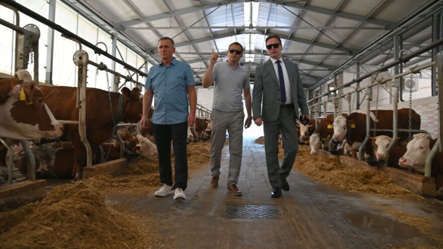 Višemilionska investicija: Otvorena savremena farma krava u Velikoj Kladuši