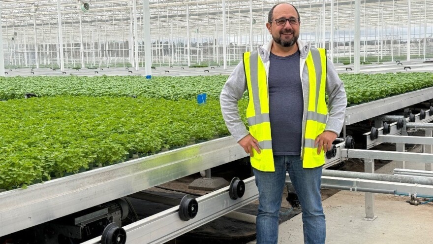 Francuzi ljekovitim biljem uspješno smanjuju upotrebu antibiotika u proizvodnji mesa