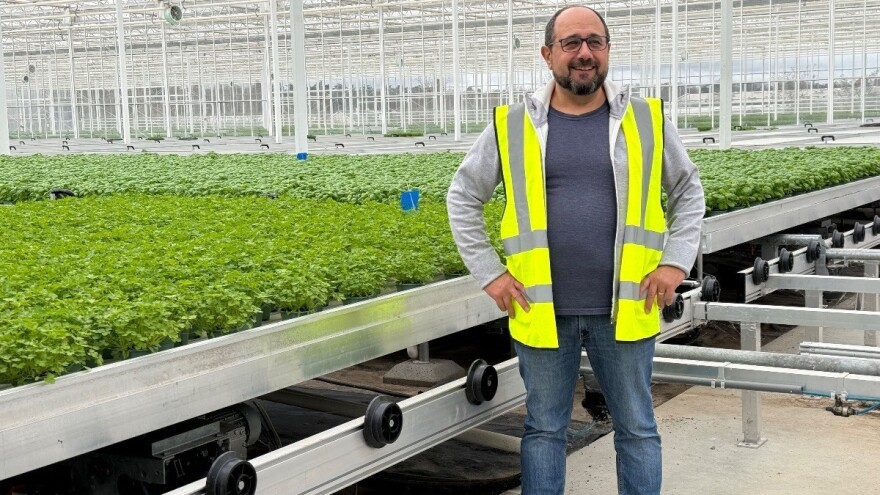 Francuzi ljekovitim biljem uspješno smanjuju upotrebu antibiotika u proizvodnji mesa