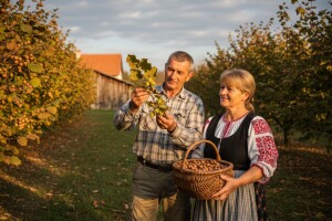 Posla se ne boje - OPG Čes i uzgoj eko lješnjaka