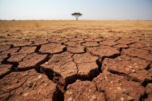 Posledice globalnog zagrevanja sve veće