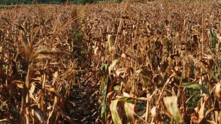 Poljoprivreda u RS gubi 100 miliona evra