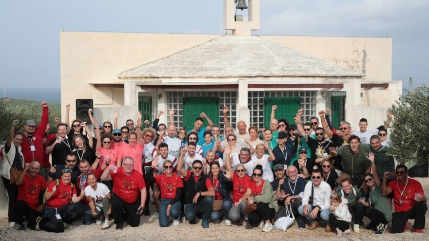 Srbi šesti u svetu po branju maslina - ispred Italijana i Španaca!?