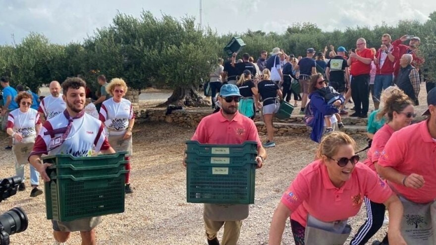 BiH se nije proslavila na Svjetskom prvenstvu u berbi maslina, prešišali nas i Crnogorci