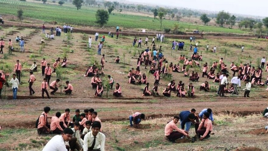 U 12 sati posadili 66 miliona stabala - novi Guinnessov rekord