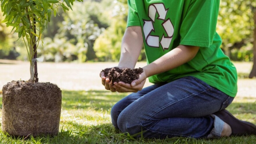 2,78 miliona dolara za razvoj šumarskog sektora