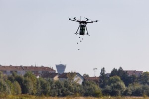 Moderno pošumljavanje: Mogu li bombice sijačice spasiti planetu?