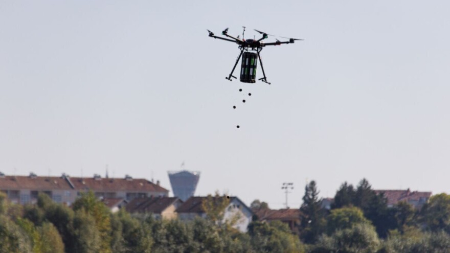 Moderno pošumljavanje: Mogu li bombice sijačice spasiti planetu?
