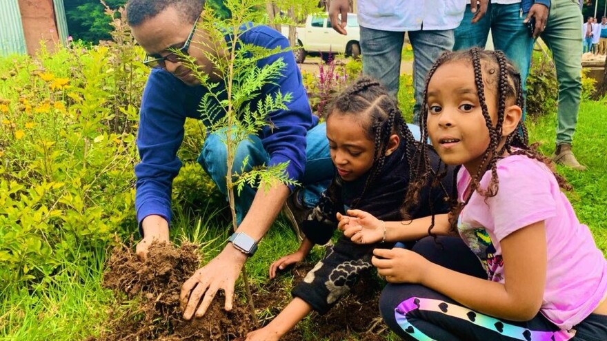 Posadili više od 353 miliona stabala u jednom danu i srušili svetski rekord