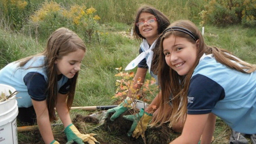 Pošumljavanje - lek za klimatske promene