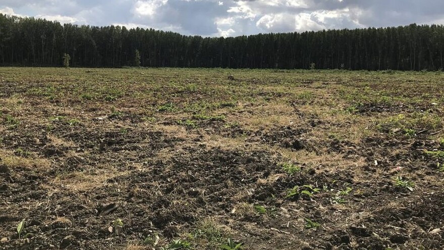 U planu obnova šuma na 1.450 ha i nove šume na 95 ha